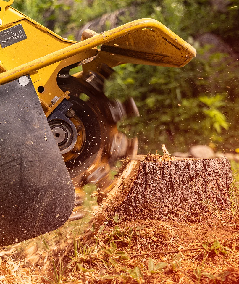 Stump Grinding